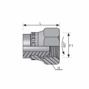 Swivel female Plug BSPP. (ATFG)